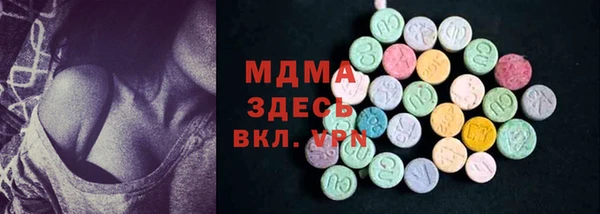 прущие грибы Дмитриев