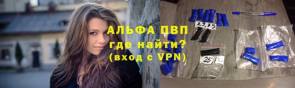 мяу мяу мука Аркадак