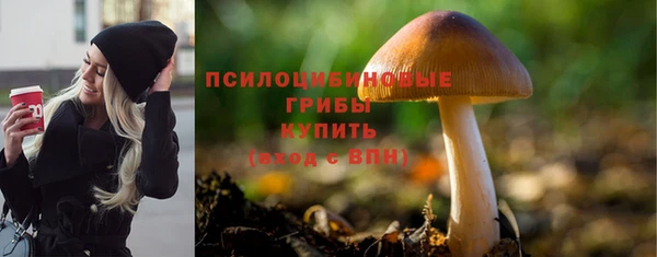 экстази Арсеньев