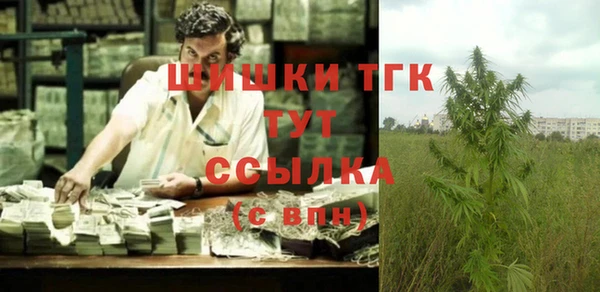 экстази Арсеньев