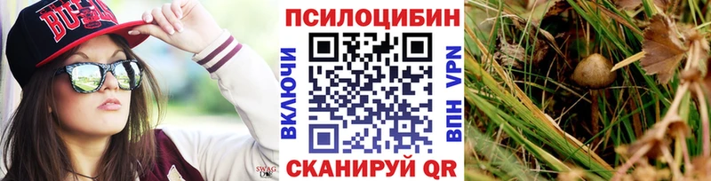 OMG рабочий сайт  Николаевск-на-Амуре  Галлюциногенные грибы Psilocybine cubensis 